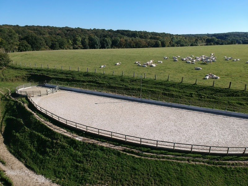 Les écuries de la Laire - photo 1