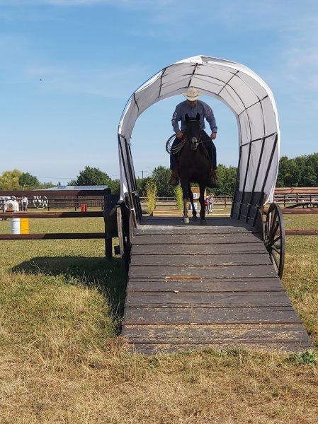 Haras du Mel - photo 2