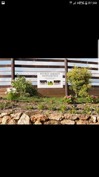 Écuries Leboeuf - photo 1