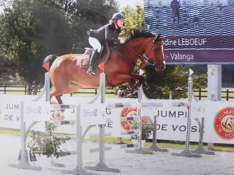 Écuries Leboeuf - photo 2