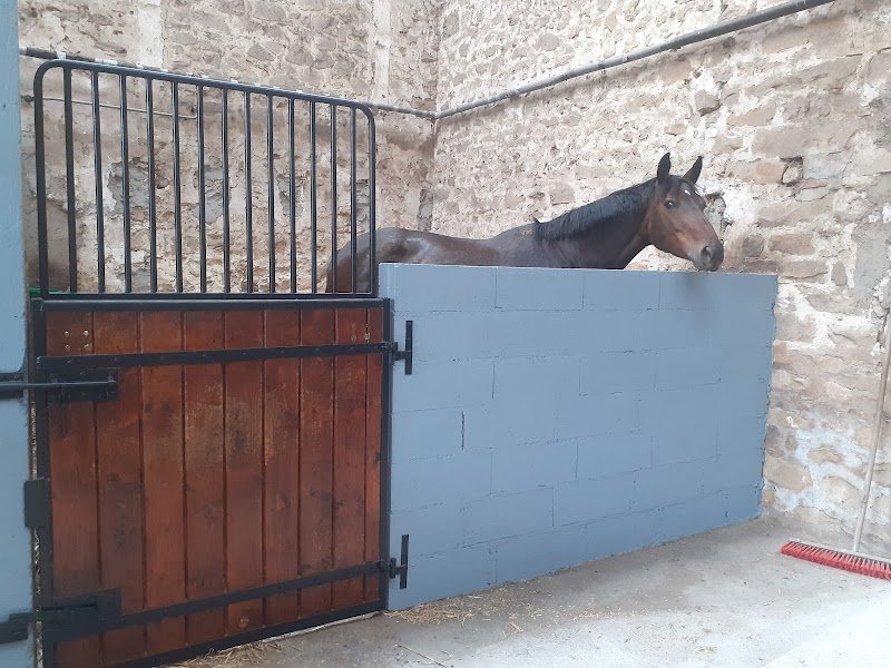 Écuries Leboeuf - photo 3