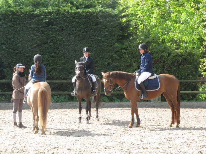 Ecuries De Bistelle - photo 1