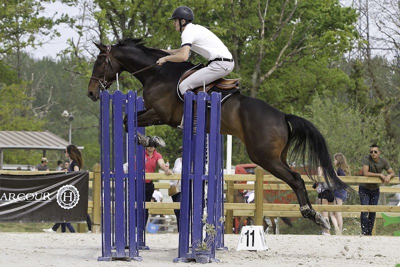 Les Haras de la Porte de Saint-Leu - photo 2