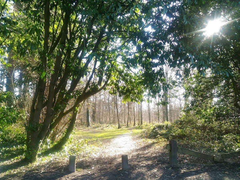 Les Haras de la Porte de Saint-Leu - photo 3