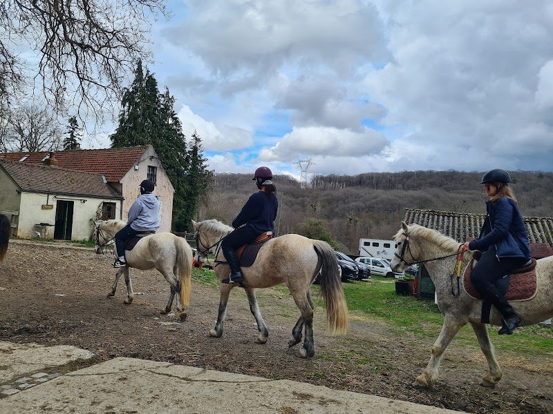 Haras du Val des Genêts - photo 2