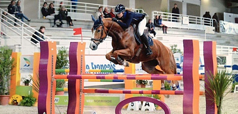 HARAS DU MAIZERET - photo 2