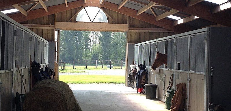 HARAS DU MAIZERET - photo 3