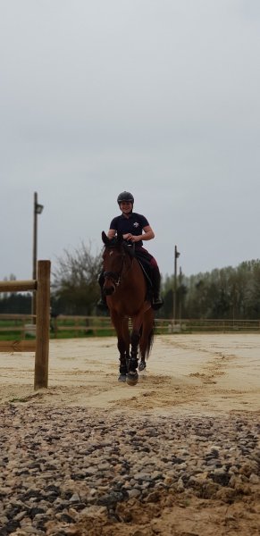 Ecurie D'Orceval - photo 1