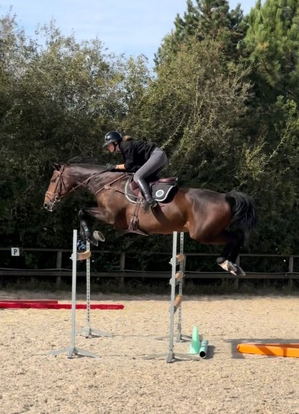 Ecurie D'Orceval - photo 3