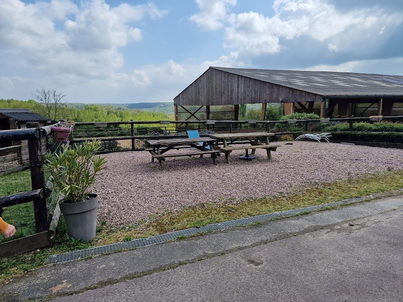 LES CHEVAUX DE MAROLLES - photo 2