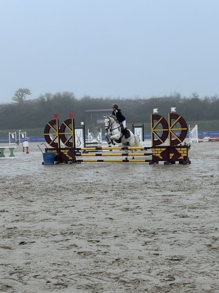 Les écuries de Saint Martin - photo 2