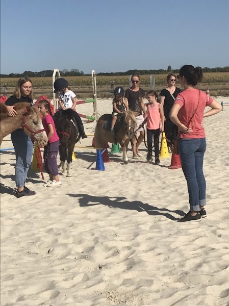 DOMAINE EQUESTRE de SAINT MARTIN D'ABBAT - photo 1