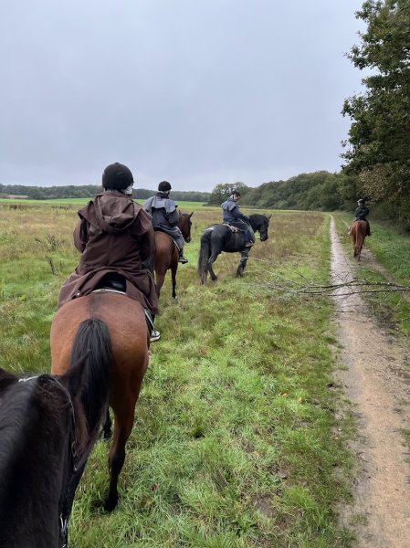 Cheval Nature | Balade à cheval - photo 2