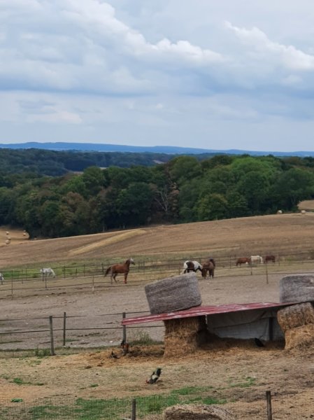 Ecuries Saint Christophe
