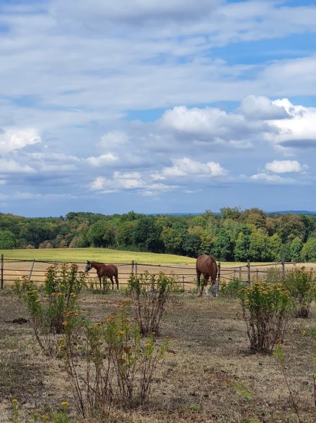 Ecuries Saint Christophe - photo 3