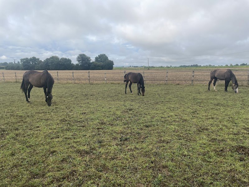 Écurie d’Ubiaco - photo 1