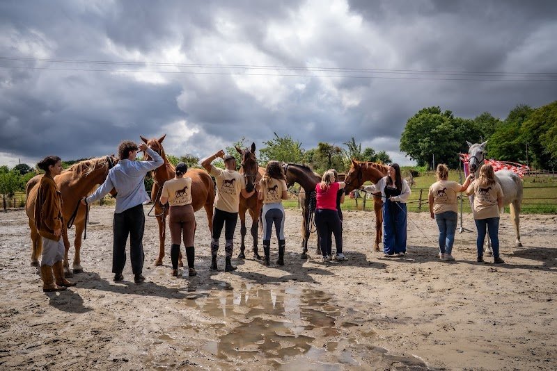 Écurie d’Ubiaco - photo 2