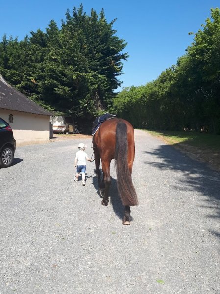 Écurie d’Ubiaco - photo 3