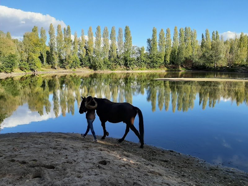 Ecurie de rossinante - photo 1