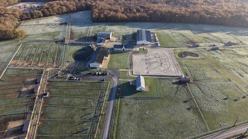 les écuries de Saint Roch - photo 2