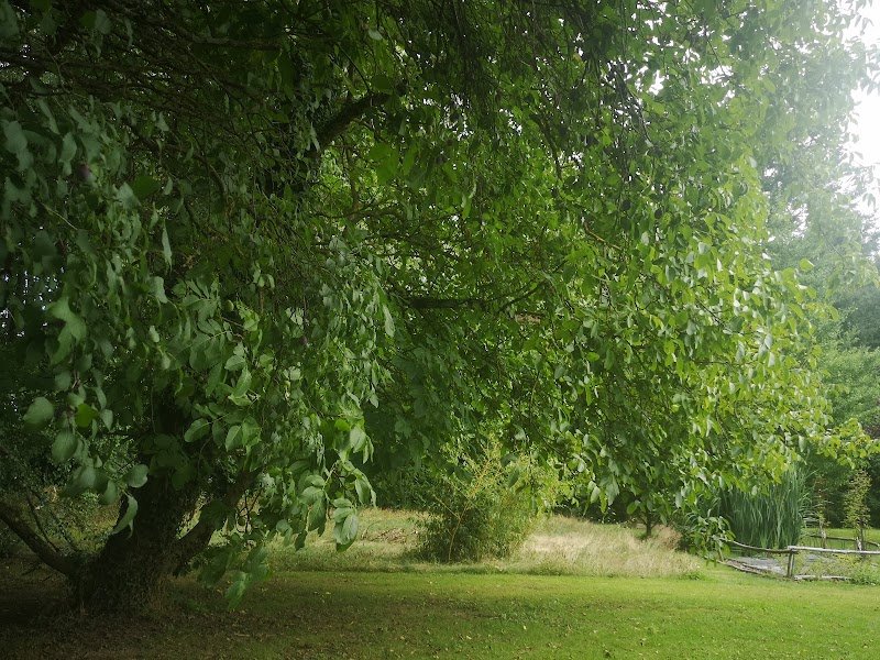 Les Ecuries du Shamrock - photo 3