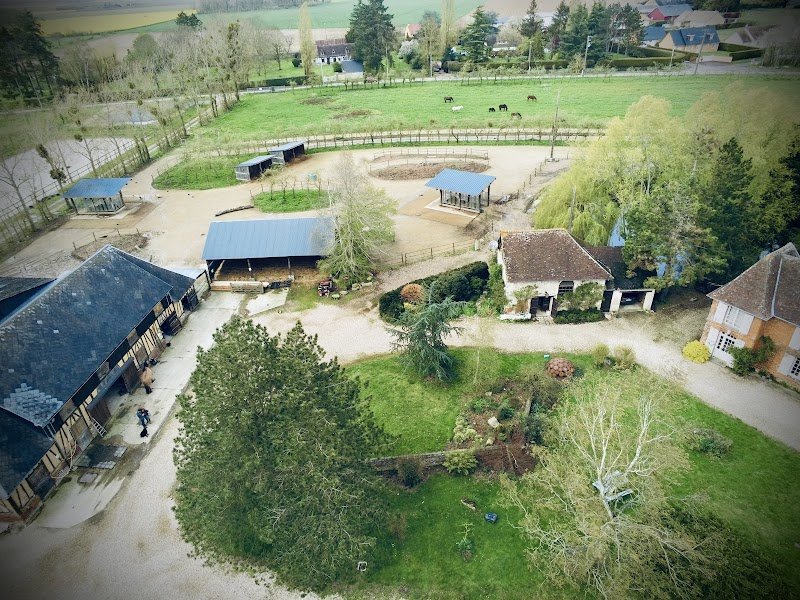 Ecurie Active Alpha Pelipa