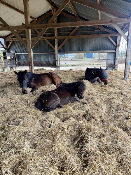 Ecurie Active Alpha Pelipa - photo 3