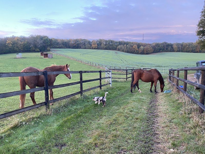 Pension du Rouloir - photo 1