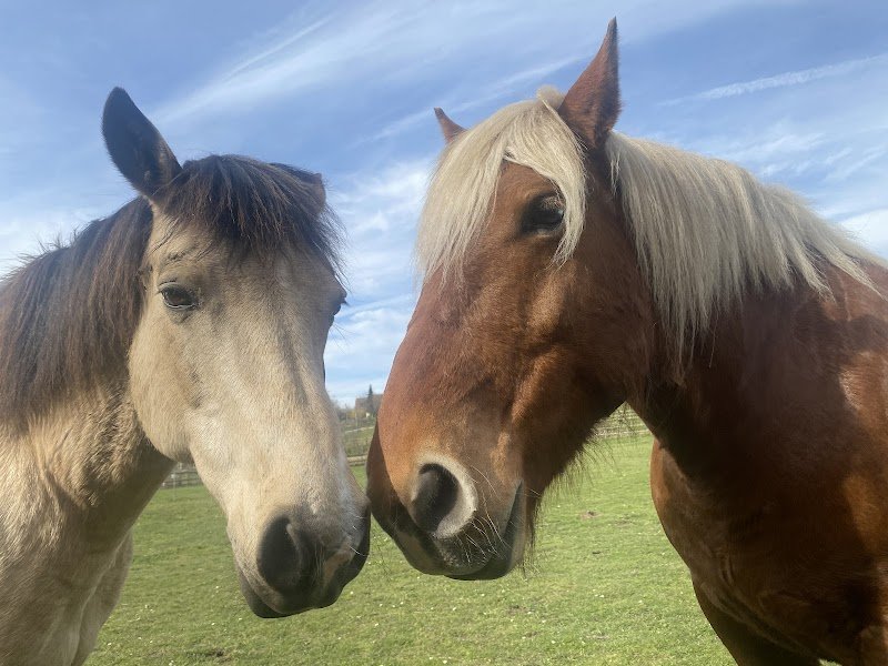 Pension du Rouloir - photo 2