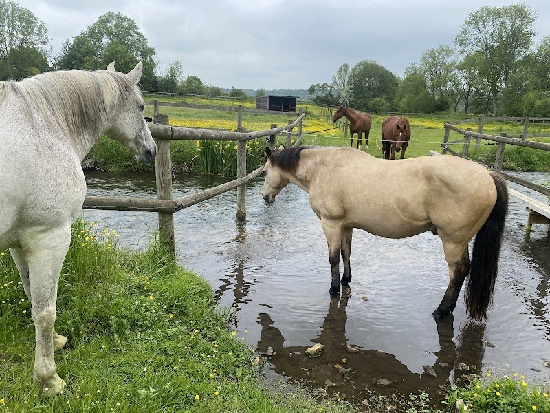 Pension du Rouloir - photo 3