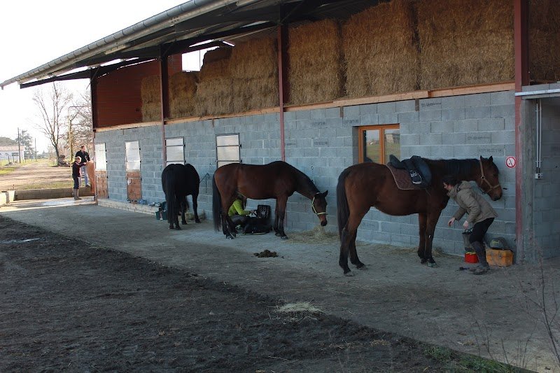 Ecuries la Bordette - photo 1