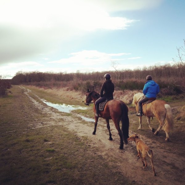 Ecuries la Bordette - photo 2