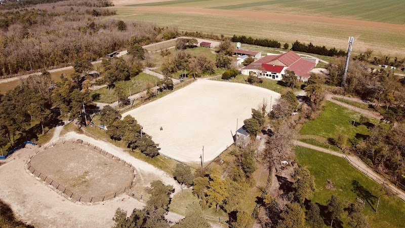 Domaine équestre d’Aarlin Paddock paradise (visite sur RDV)