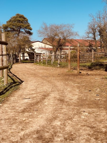Domaine équestre d’Aarlin Paddock paradise (visite sur RDV) - photo 2
