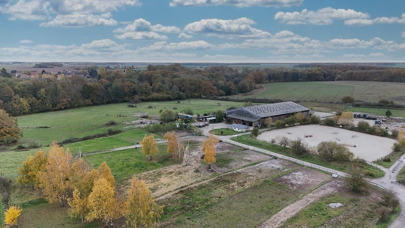 Écuries d’Orcemont - Raphaël Cochet - photo 1