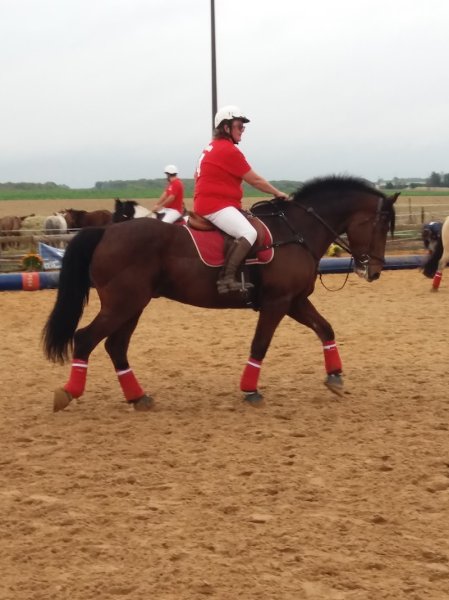 Centre Equestre des Champs Forts