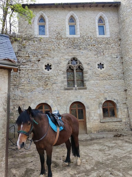 Centre Equestre des Champs Forts - photo 2