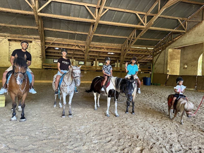 Centre Equestre des Champs Forts - photo 3