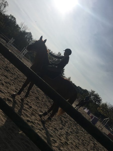 Les Ecuries du Trait Blanc - photo 2