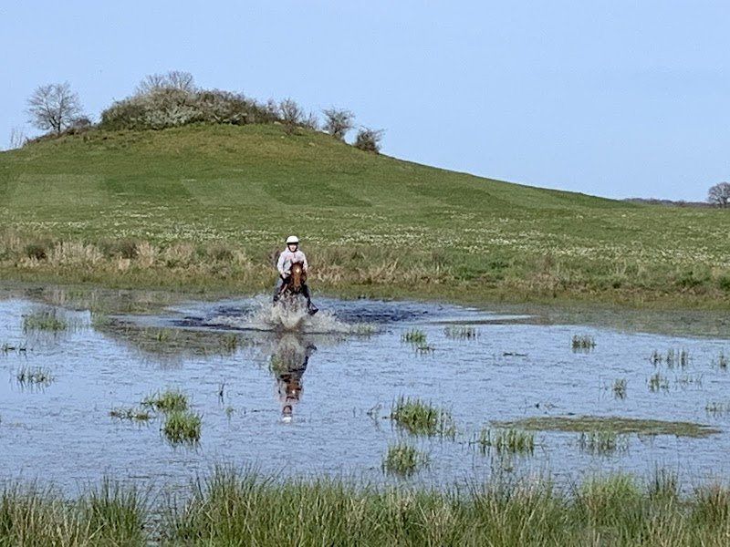 RANCH DES BUTTONS PENSION - photo 3