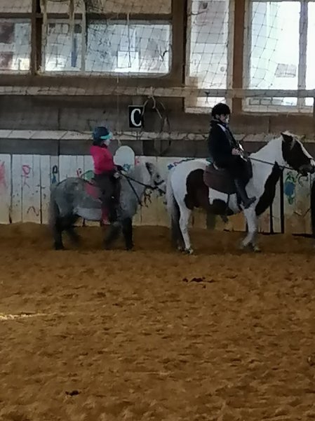 Centre Equestre de L'Epineau - photo 2