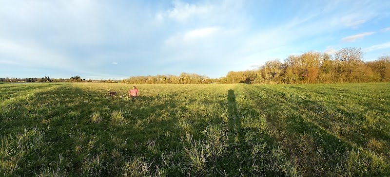 Sasha's Stable by De Haro - photo 1