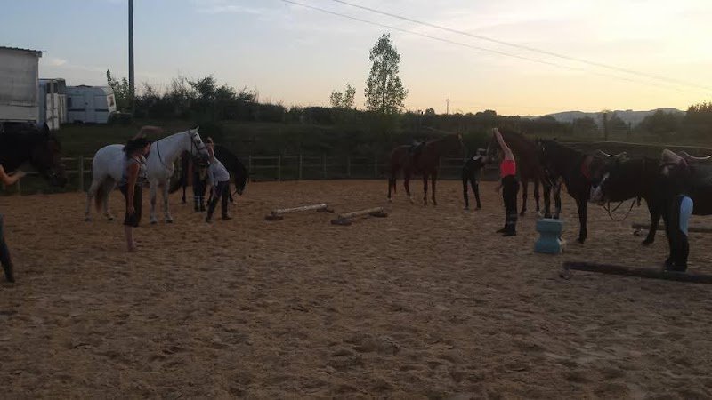 Sasha's Stable by De Haro - photo 2