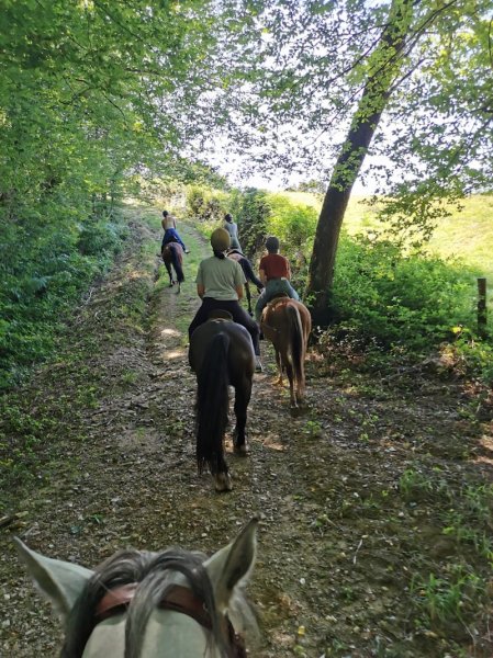 Les Écuries de la Grange Missée - photo 2