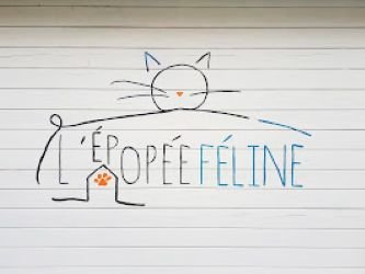 pension 36 - l'épopée féline