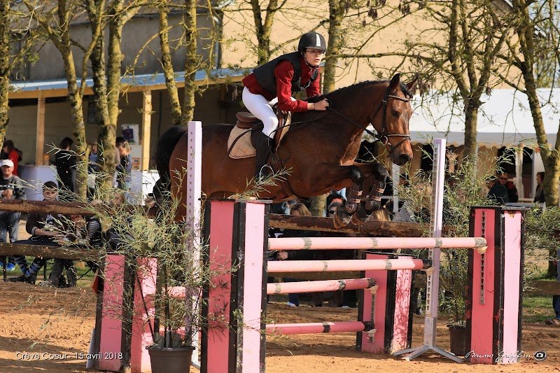 Ecuries de Valanto - photo 2