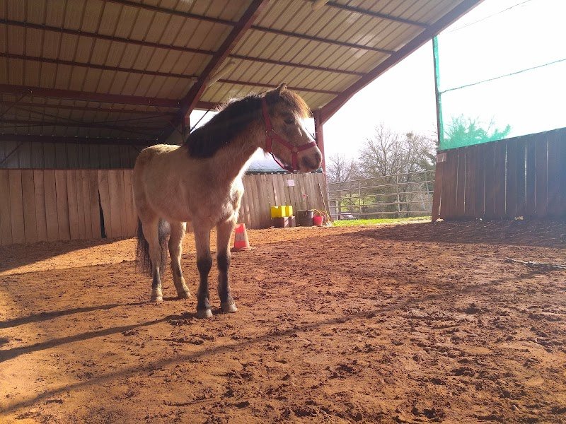 Ecurie de l'Âge - photo 3