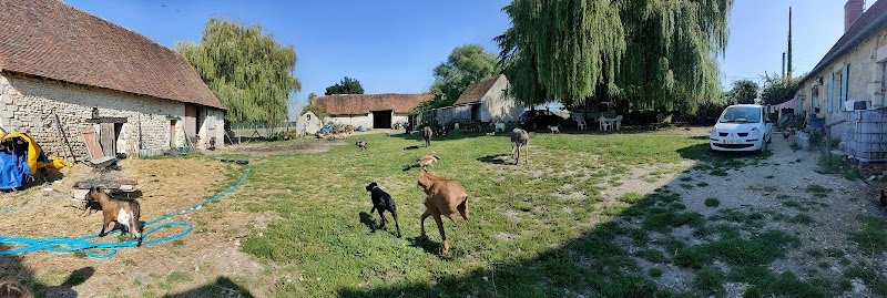 Ecuries du dernier recours - photo 3