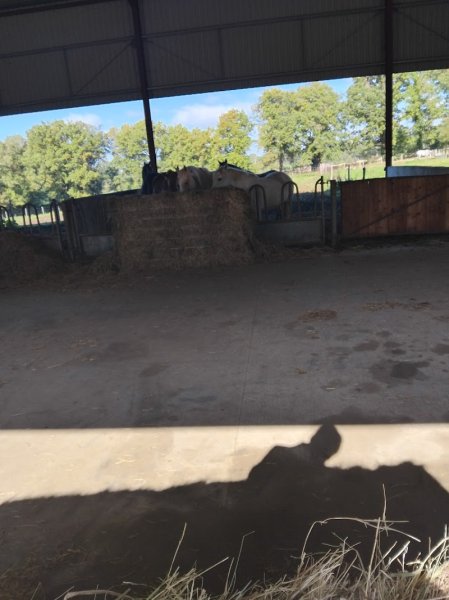 Domaine Equestre de Calypso - photo 1