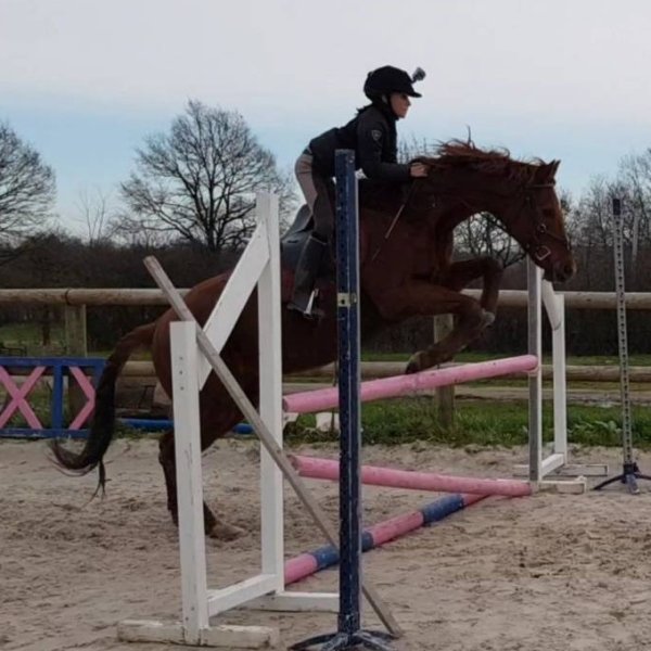 Domaine Equestre de Calypso - photo 3